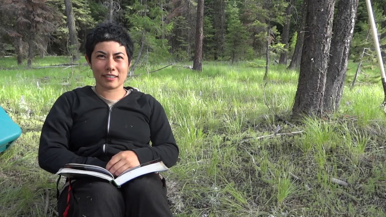 Blue Mountains Biodiversity Project: Forest Defense Through Citizen Field Surveys