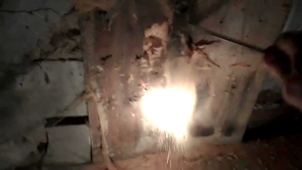 Active  Common Furniture Beetle  survey tips about woodworm