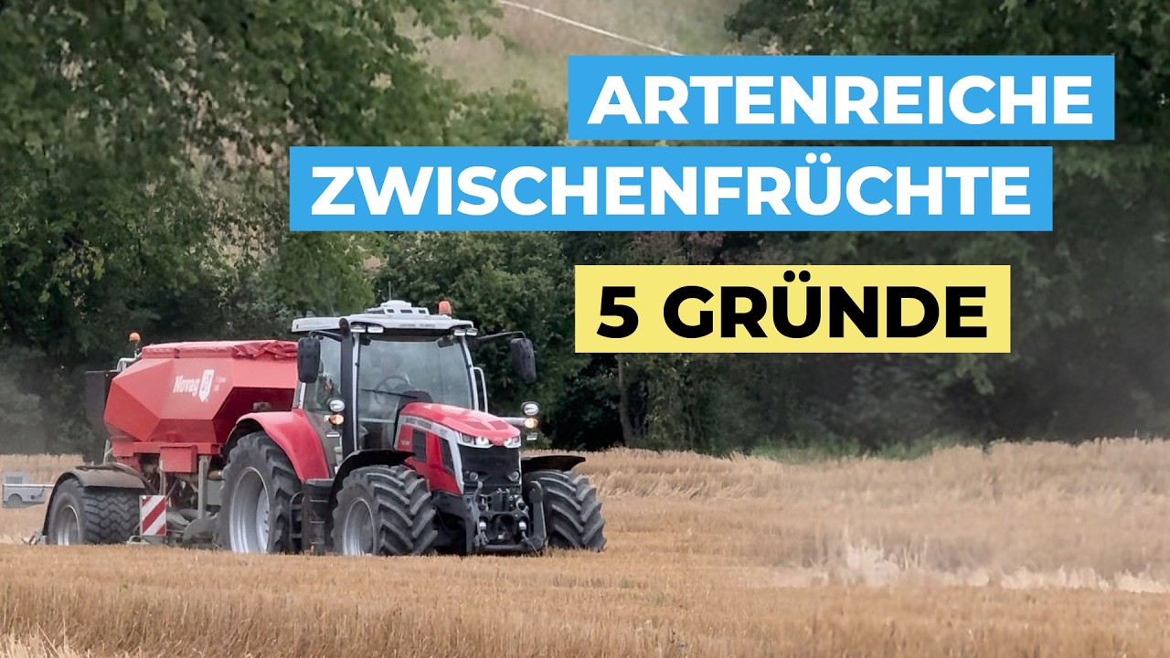1.000+ Landwirte steigen um auf diverse Zwischenfruchtmischungen | 5 Gründe