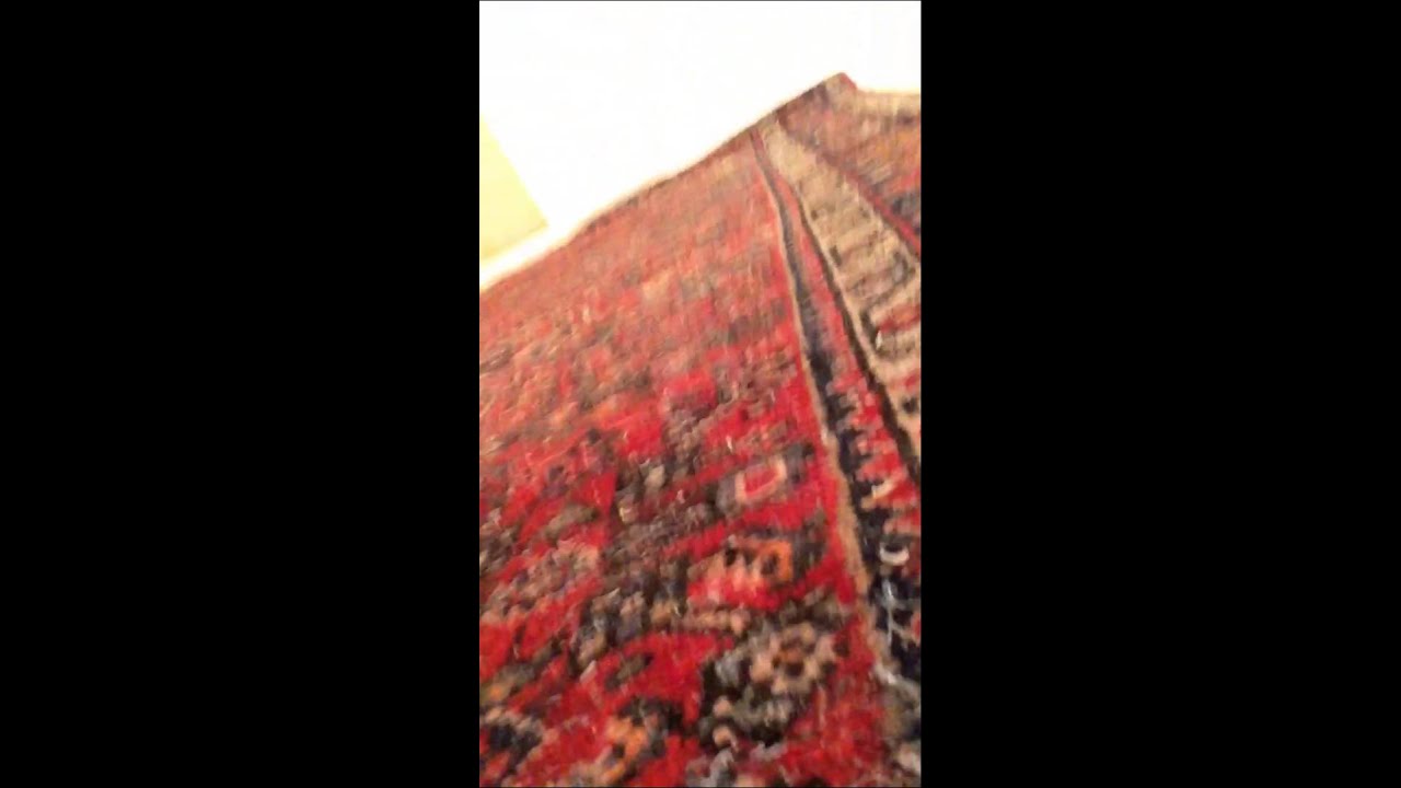 Moth damage to rugs and carpets
