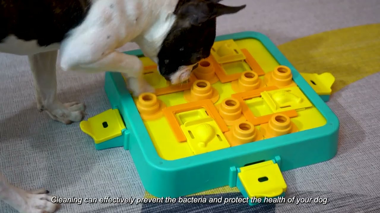 KADTC Dog Puzzle Chess Toy Products All round Display