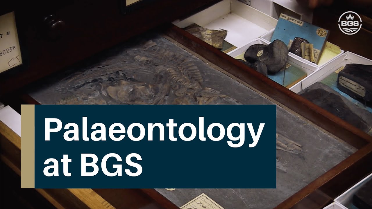 Exploring Palaeontology at BGS