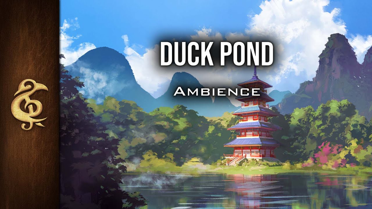 Duck Pond | Relaxing Ambience | 1 Hour