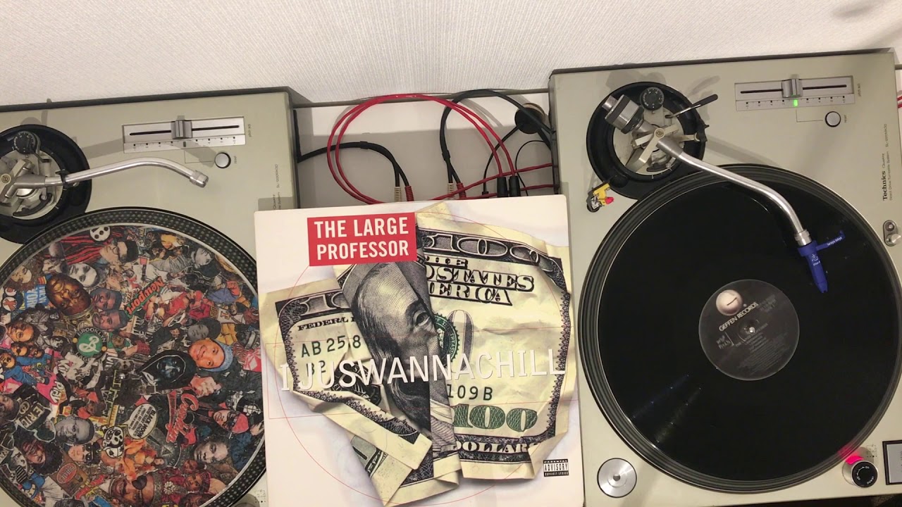 LARGE PROFESSOR / I JUST WANNA CHILL (INSTRUMENTAL)