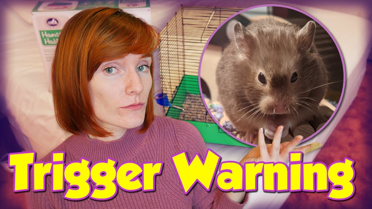 TW: THIS IS CRUEL TO DO TO A HAMSTER! | Luz Rescue Story | Munchie's Place