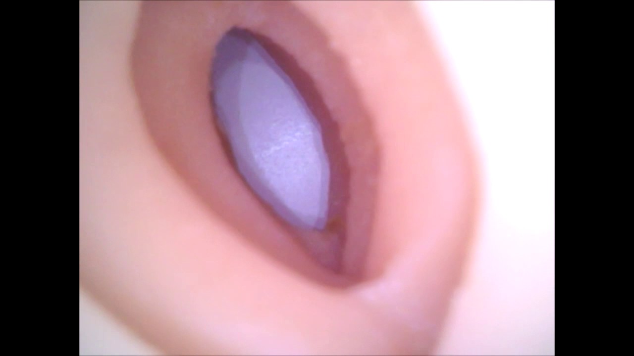 Fleshlight Anikka Albrite Goddess Internal Video