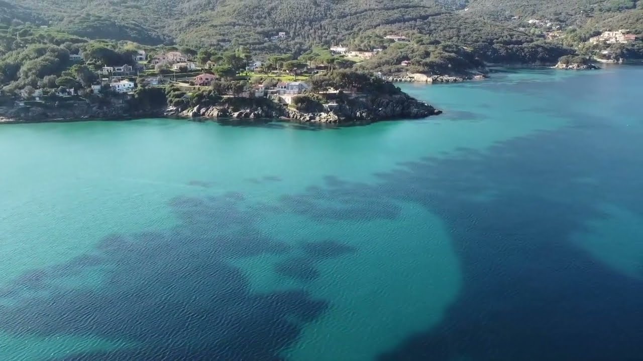 Spiaggia di Procchio - Isola d'Elba - Vacanze