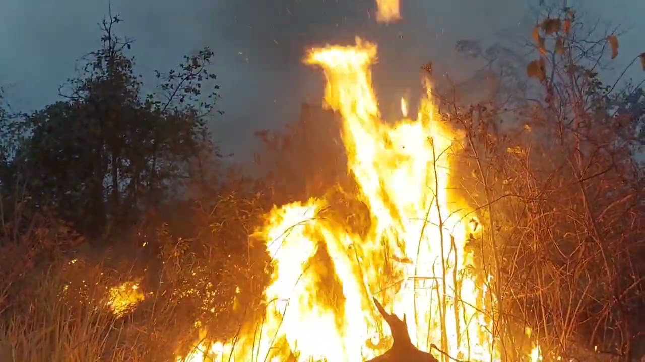ព្រឹកថ្ងៃអាទិត្យភ្លើងបន្តឆេះមកដល់ដីអ៊ំហនធីណាមិនឈប់
