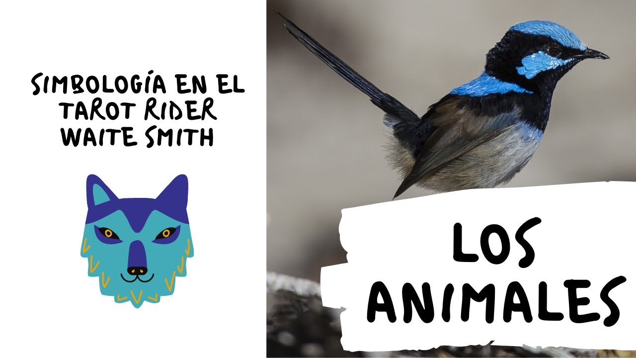 LOS ANIMALES - Simbología en el Tarot Rider