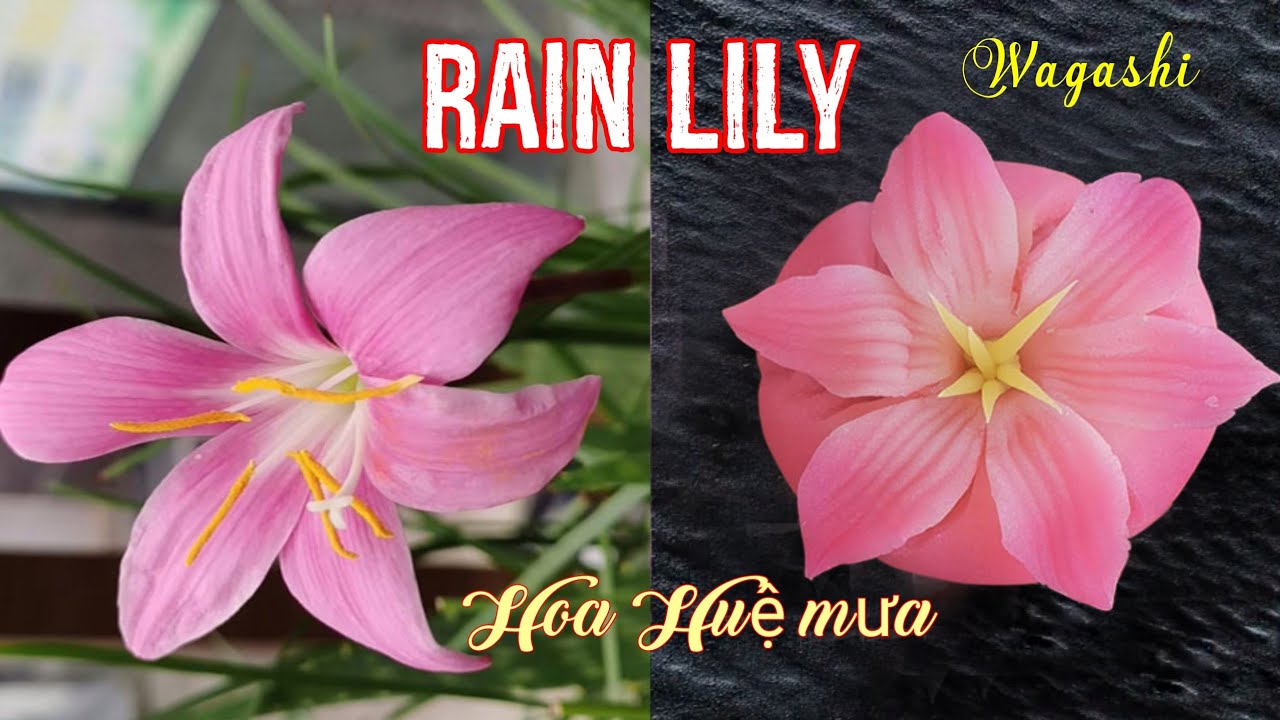 HOW TO MAKE THE RAIN LILY NERIKIRI WAGASHI (DIY)