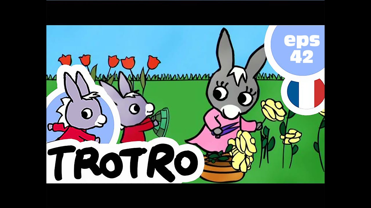 TROTRO - EP42 - Trotro et la tortue