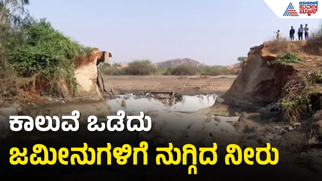 ತುಂಗಭದ್ರಾ ಎಡದಂಡೆ ಕಾಲುವೆ ಒಡೆದು ಅಪಾರ ಪ್ರಮಾಣದ ನೀರು ಪೋಲು | Koppal | Tungabhadra Canal | Crop Damage