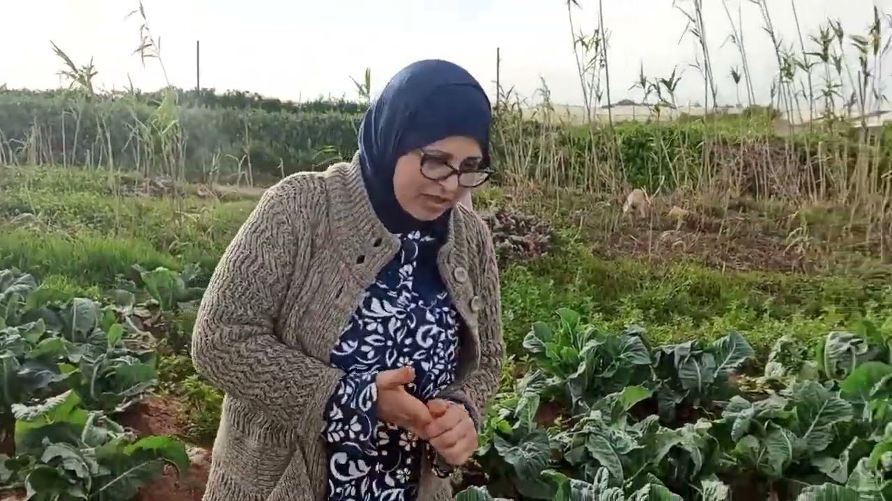 فلووك فالبادية هاد المرة مشينا جنينا الشفلور واستمتعنا بالطبيعة الخضرا 👌👌