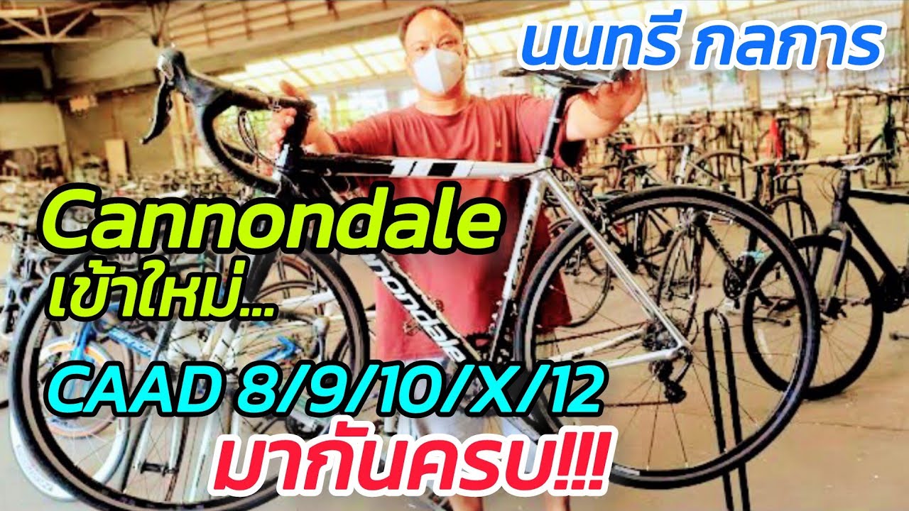 จักรยานเสือหมอบ Lot ใหม่ Cannondale CAAD 8/9/10/X/12 มากันครบ จากนนทรี กลการ