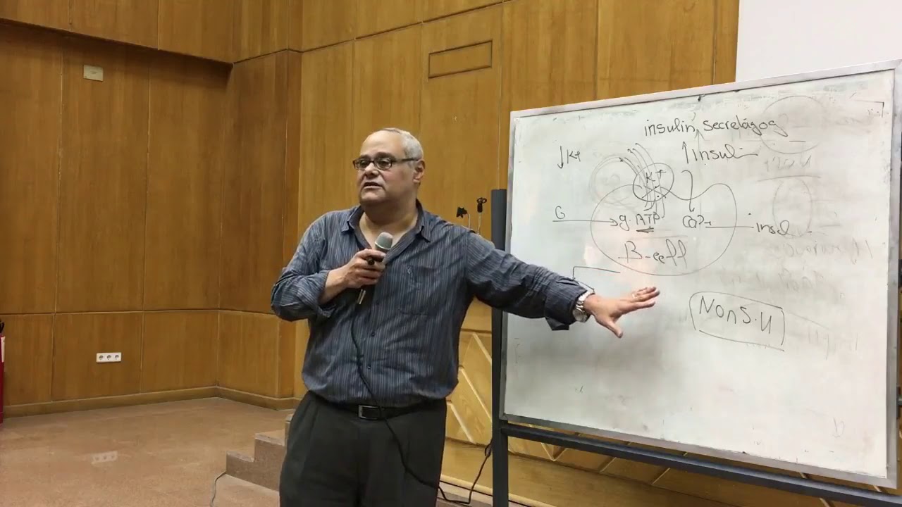 DM 2: Drug Therapy of Type 2 DM