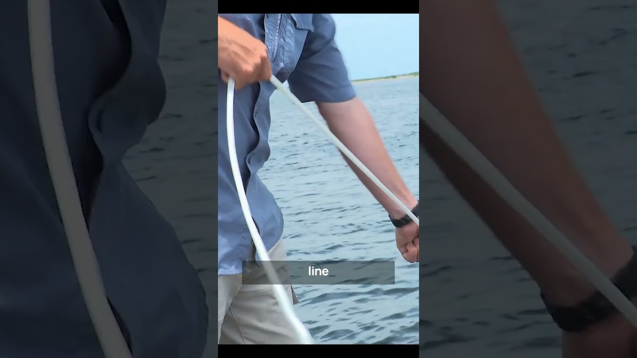 Как поставить якорь на якорь: как поднять якорь с помощью Bridge Marina