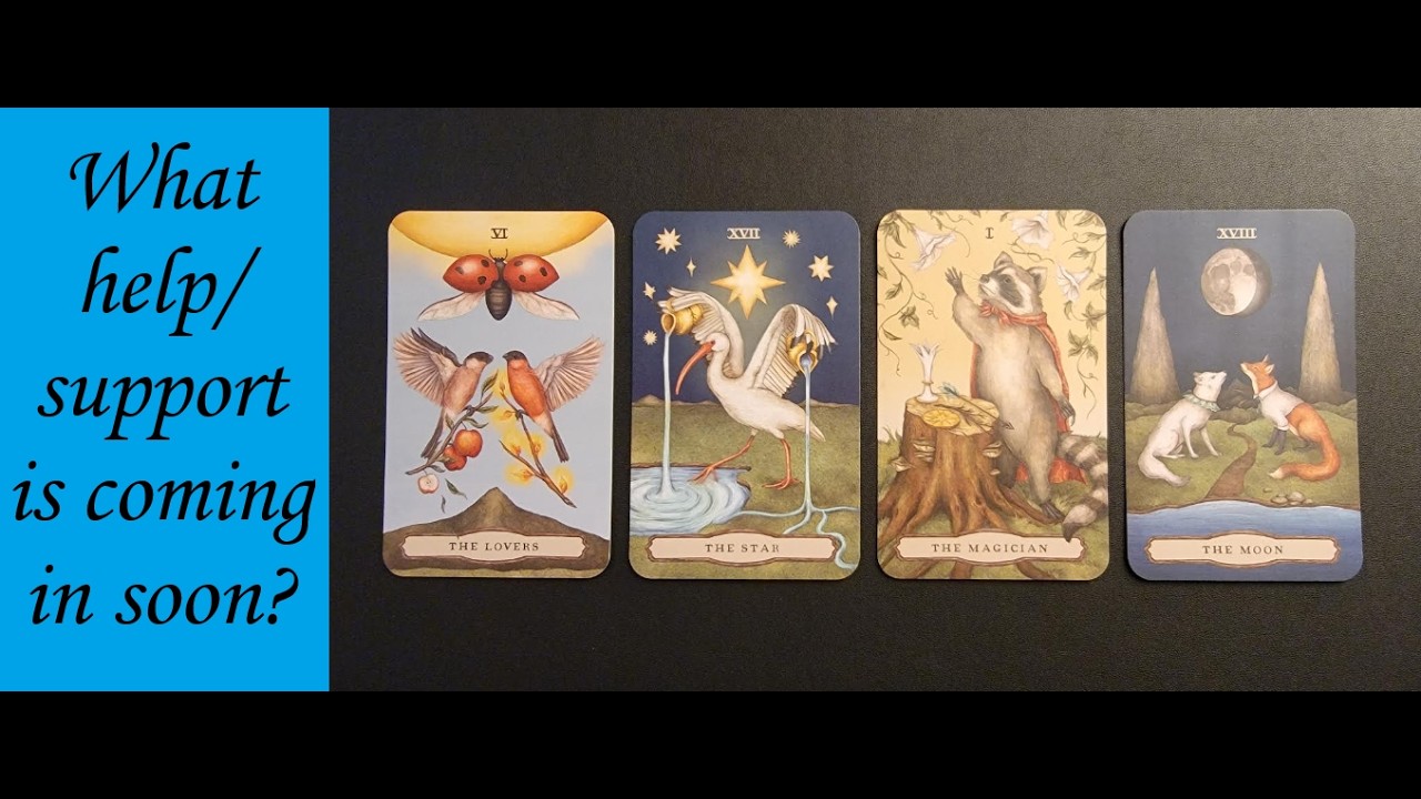 PICK A CARD: What help/support is coming in soon?