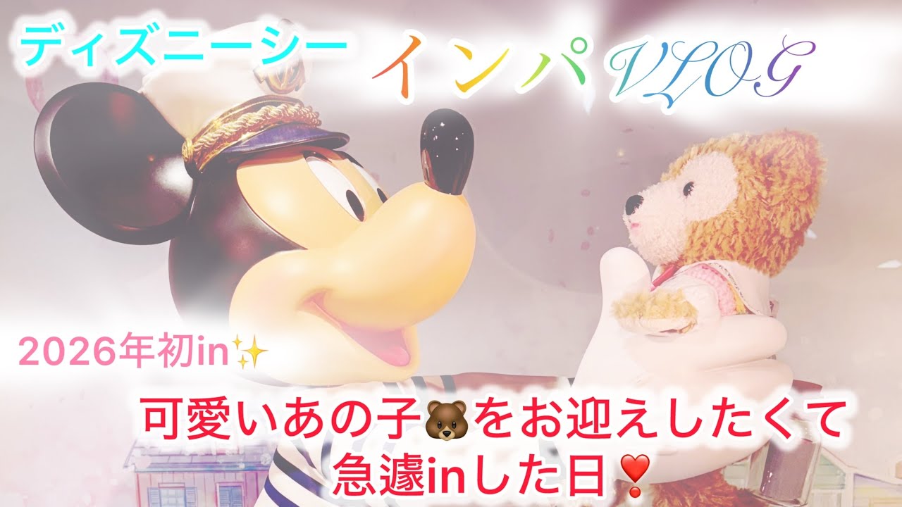 【Vlog】時短営業日のディズニーシーインパ❣️可愛いあの子をお迎えする為にインした日〜ダンス・ザ・グローブの抽選はいかに⁉️