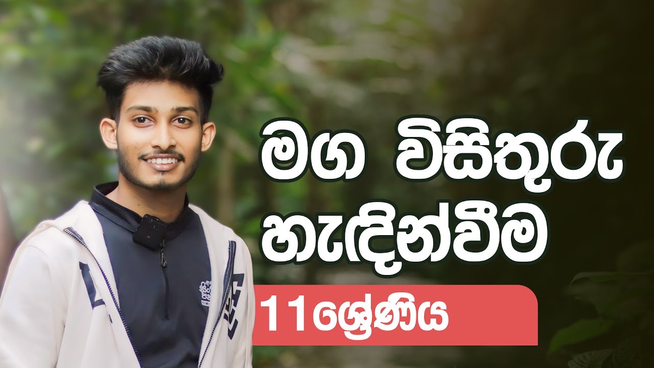11 ශ්‍රේණිය සිංහල පන්තිය | මග විසිතුරු හැඳින්වීම | @bashaparadisaya | #sinhala #onlineclass