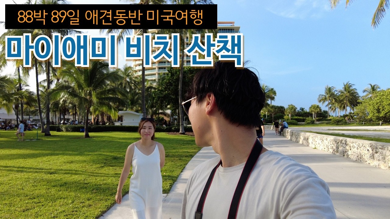 마이애미 비치 산책하기 (애견동반O)