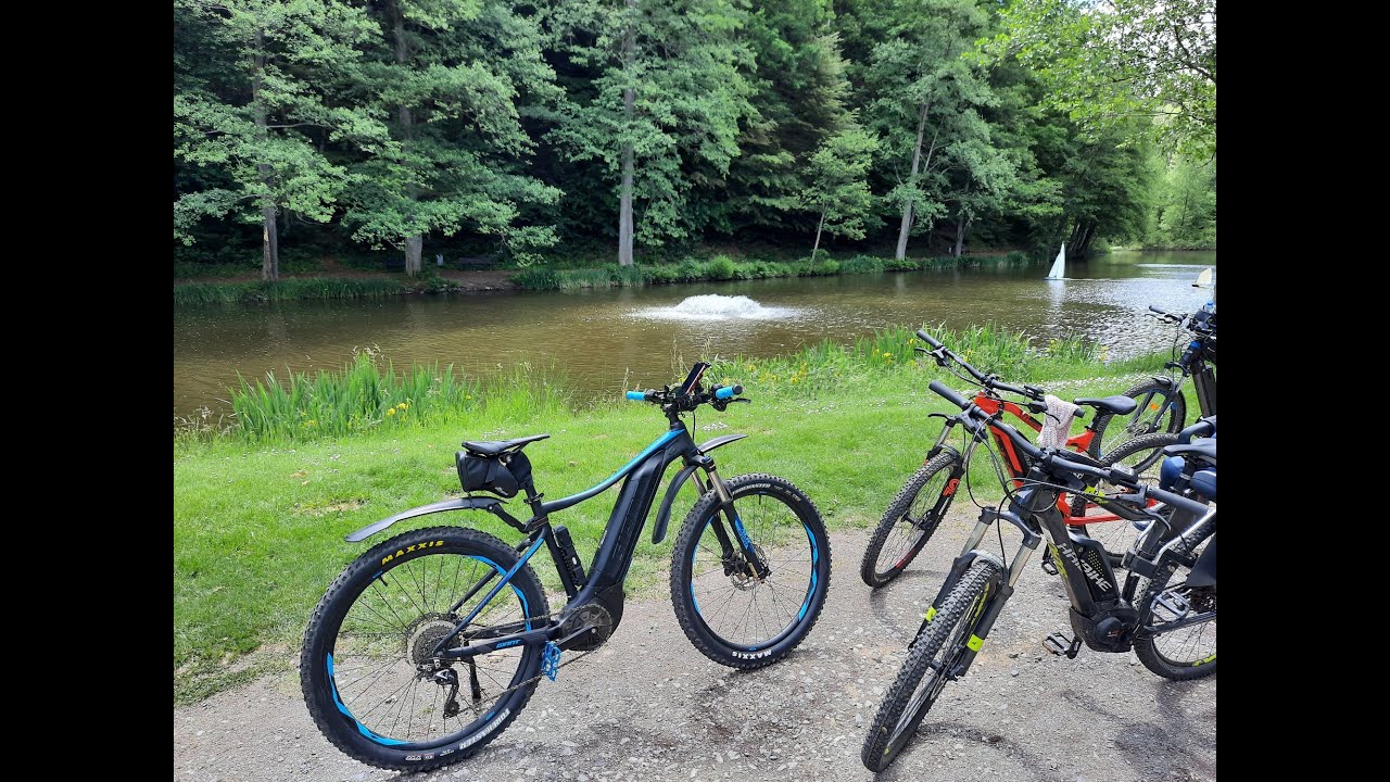 NCM Moscow,Die Welf on Tour zur Burg Altdahn im Pfälzer Wald, E Bike Welf, E-Bike, Pedelec, E MTB,