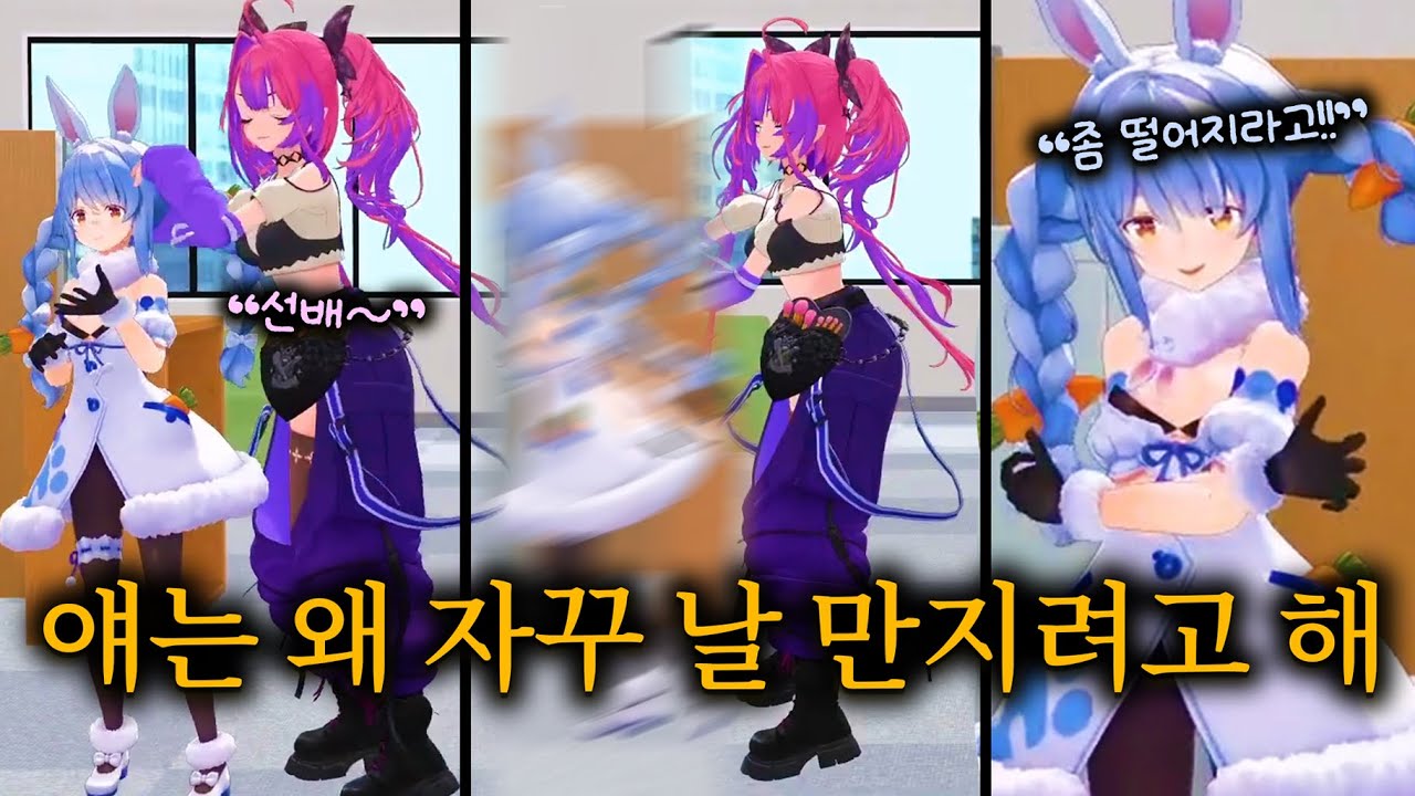 바깥 세상에 나오면 한없이 나약해지는 토끼 선배 - 페코&비비 3D 오프콜라보【홀로라이브 // 우사다 페코라, 키키라라 비비】