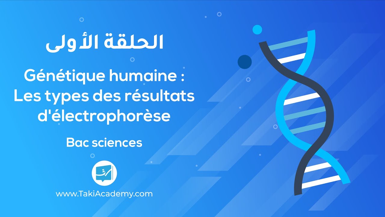 BAC | SVT | G&eacute;n&eacute;tique humaine: Les types d&rsquo;&eacute;lectrophor&egrave;se - EP01