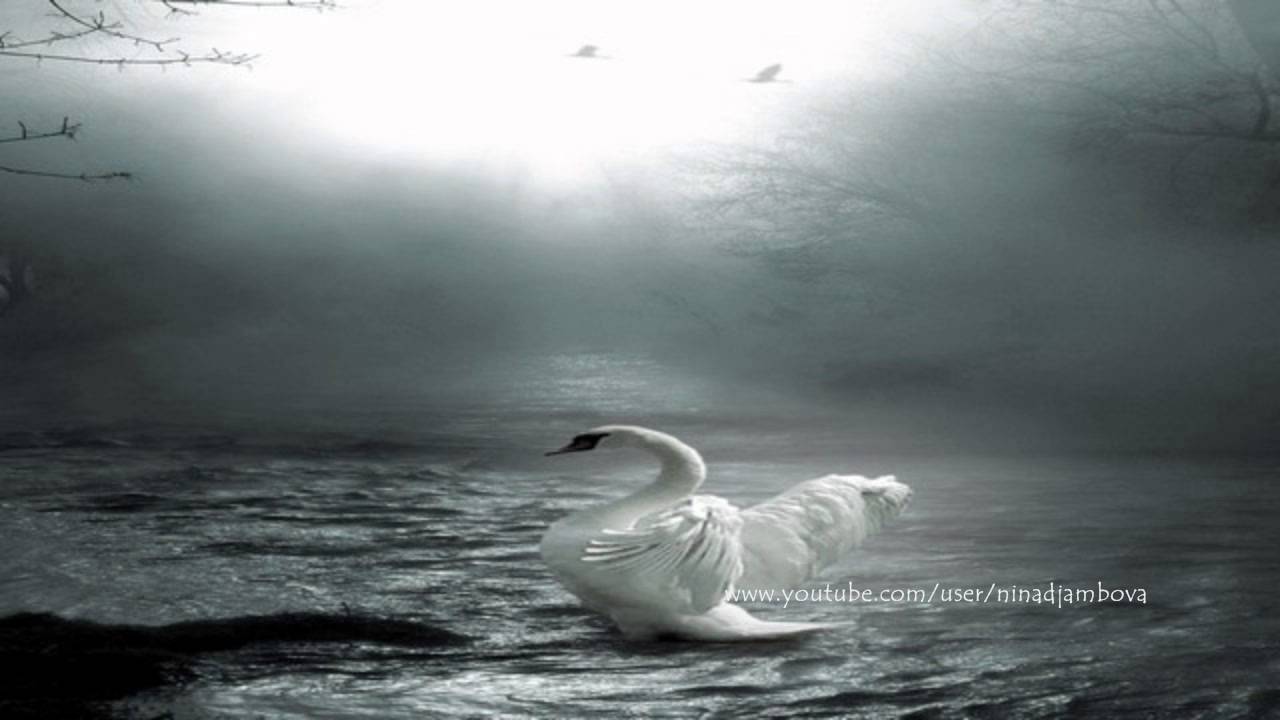 Markus Volker - Redemption (Original Mix)