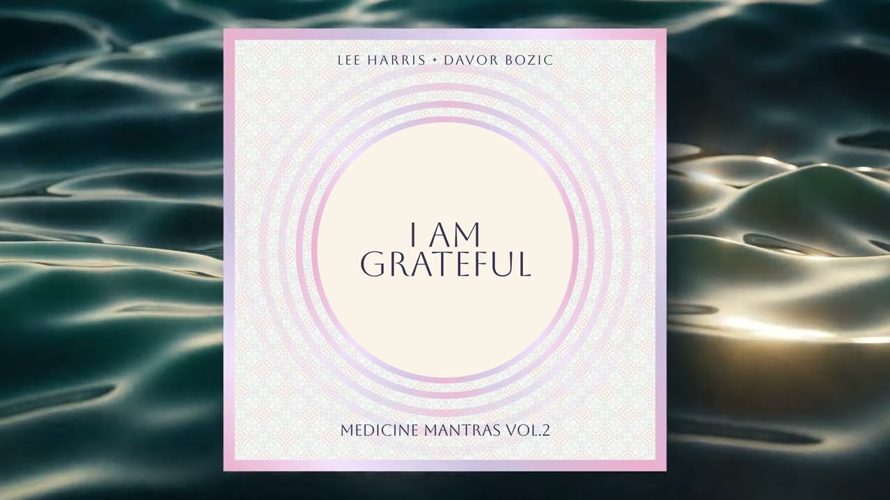 I Am Grateful (Official Audio) - Lee Harris & Davor Bozic