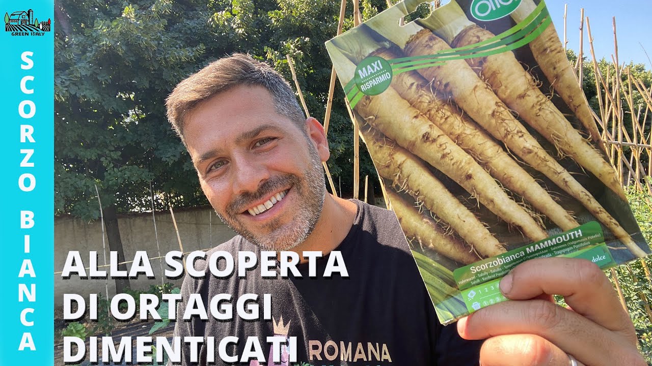 Sarzefine di Zagarolo: Ortaggi Dimenticati