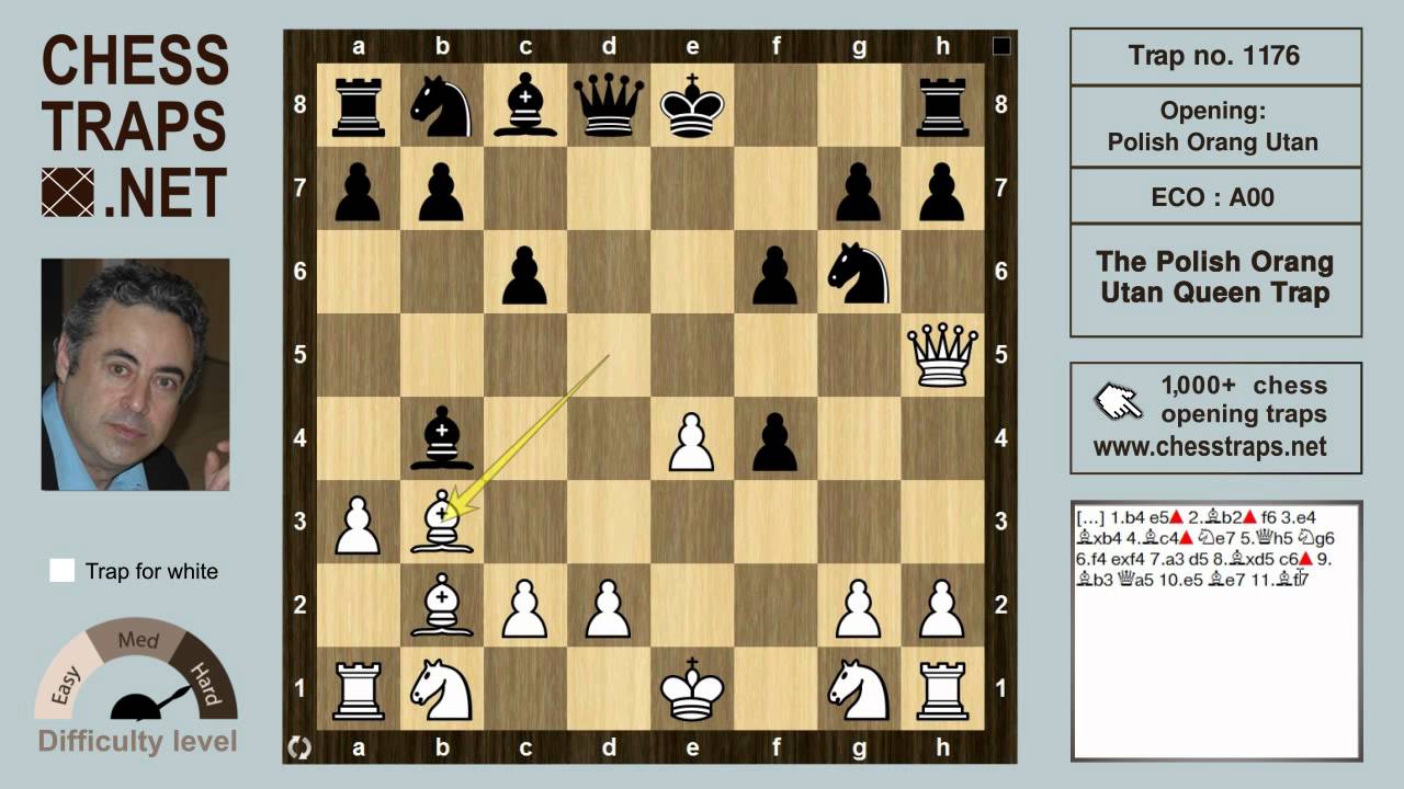 1176 Polish -  The Polish Orang Utan Queen Trap