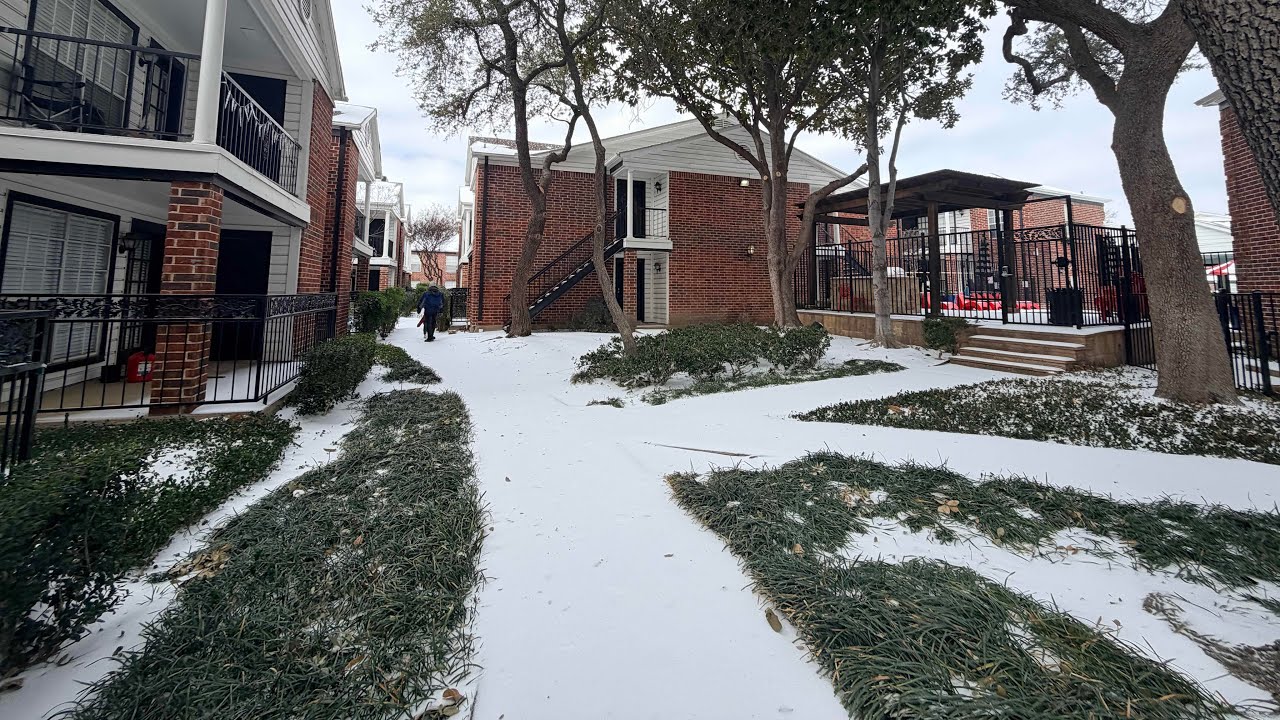 Snow Storm এর আগে কী কী preparation নিলাম। Winter storm in Dallas Day 1| 