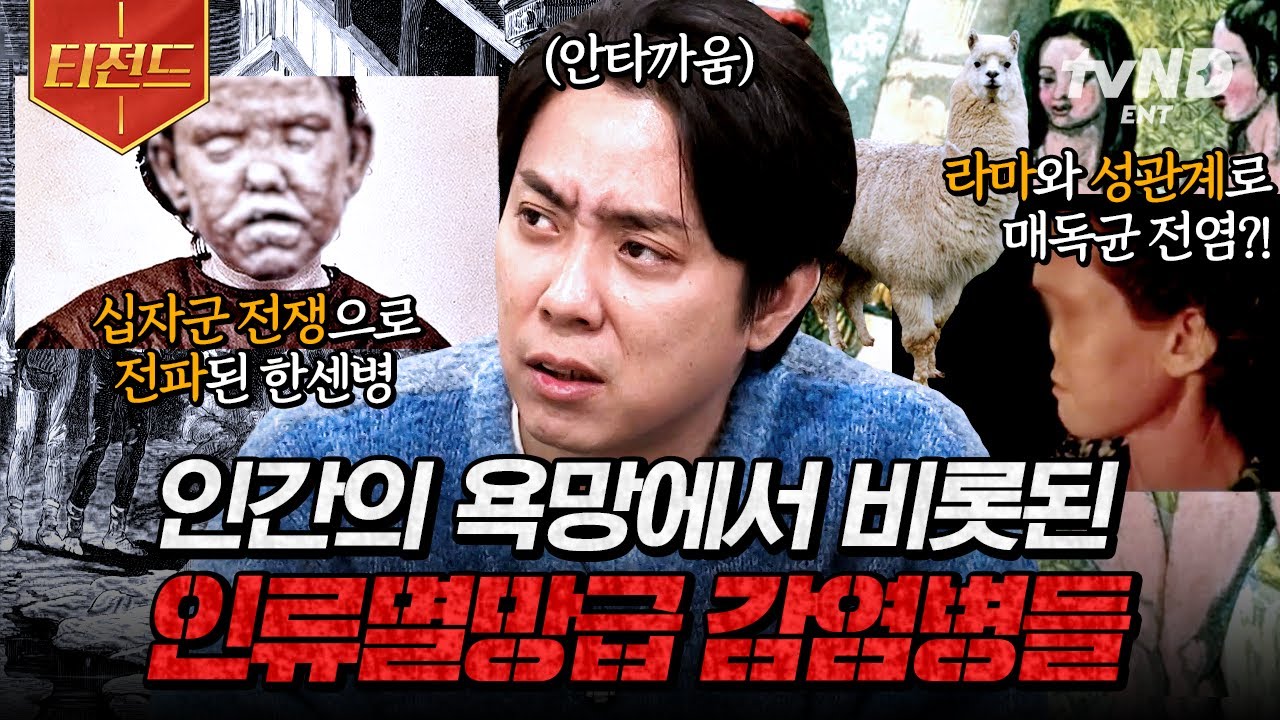 [#벌거벗은세계사] 인간의 욕망이 낳은 감염병인데 '신이 내린 형벌'이라 여긴 이유는?!😡 지금까지도 고통받는 지독한 감염병들의 첫 시작부터 그 역사 | #티전드