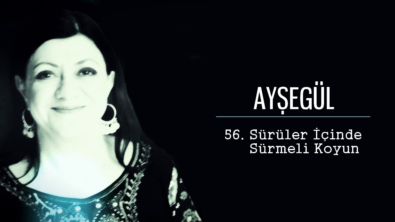 56. Sürüler İçinde Sürmeli Koyun