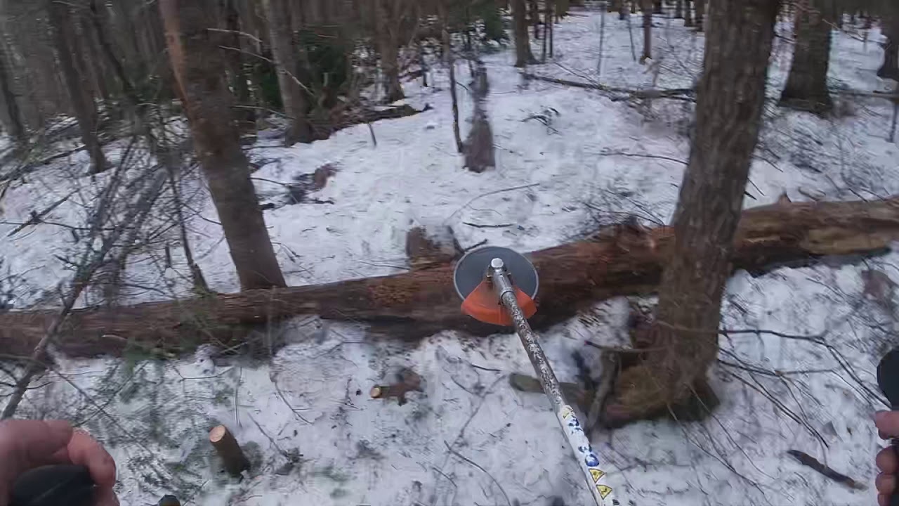 Clearly some trees around my land with the fs460