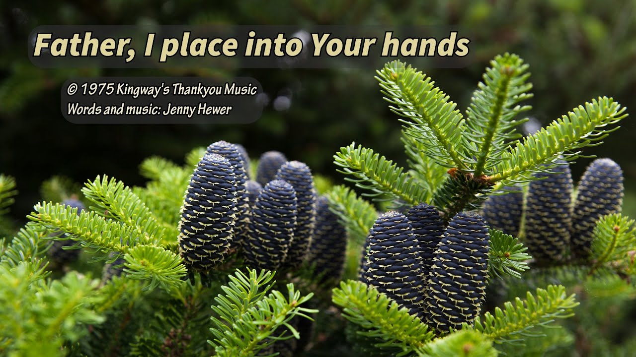 133 Father I place into your hands