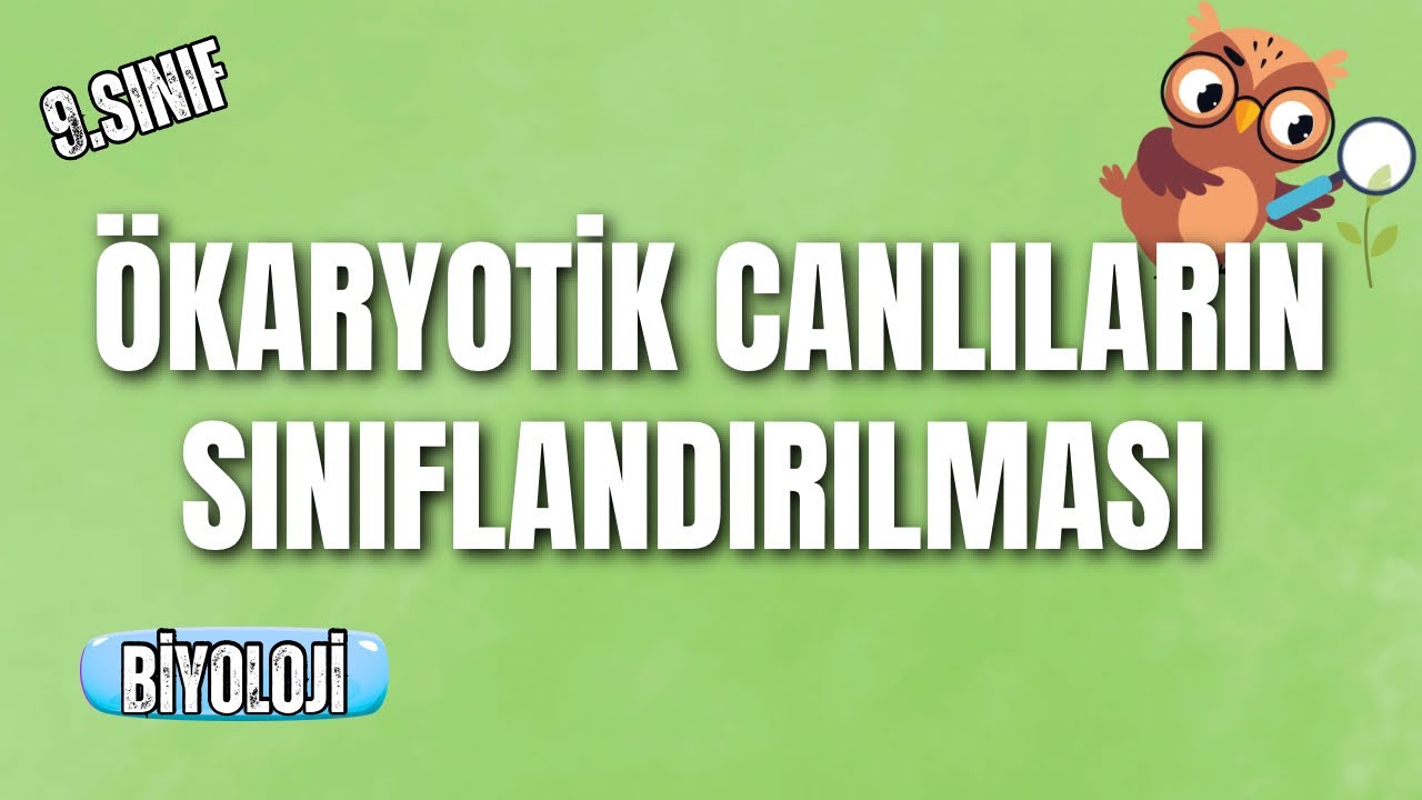 Ökaryotik Canlıların Sınıflandırılması I 9. Sınıf Biyoloji I Konu Anlatımı #2026