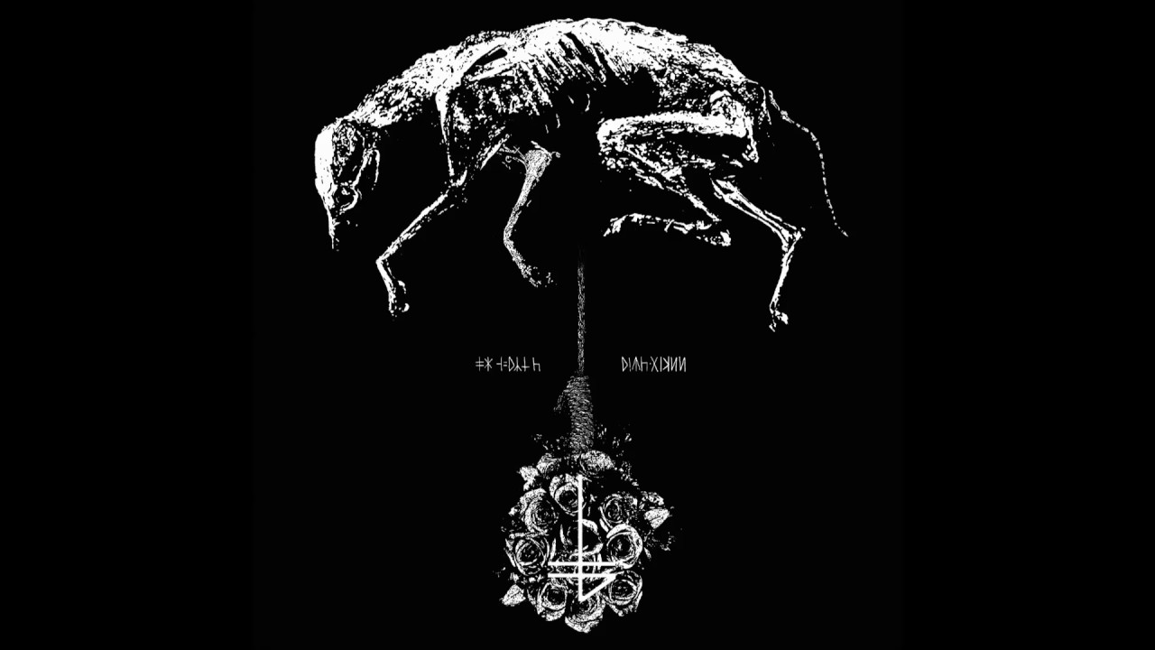 The Banner - She Upon the Black Wolf