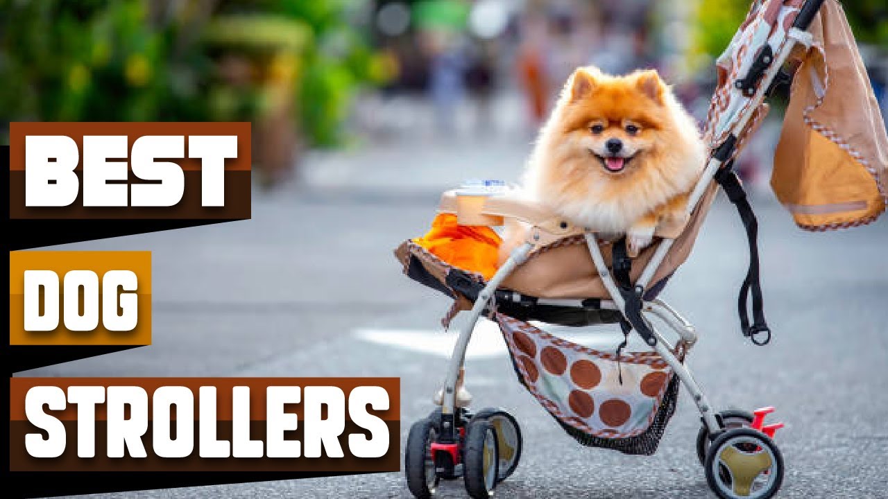 Best Dog Strollers In 2026 - Top 10 Dog Strollers Review