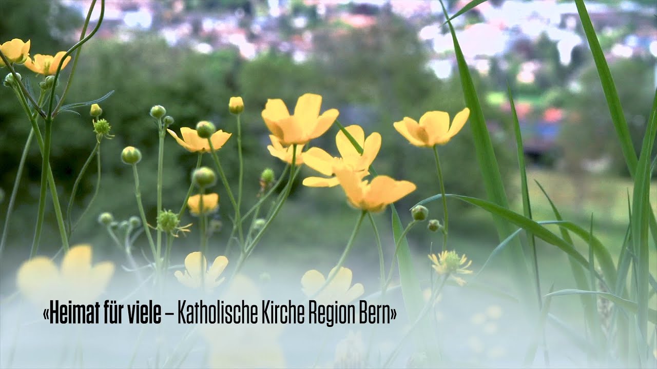Katholische Kirche Region Bern - wer wir sind!