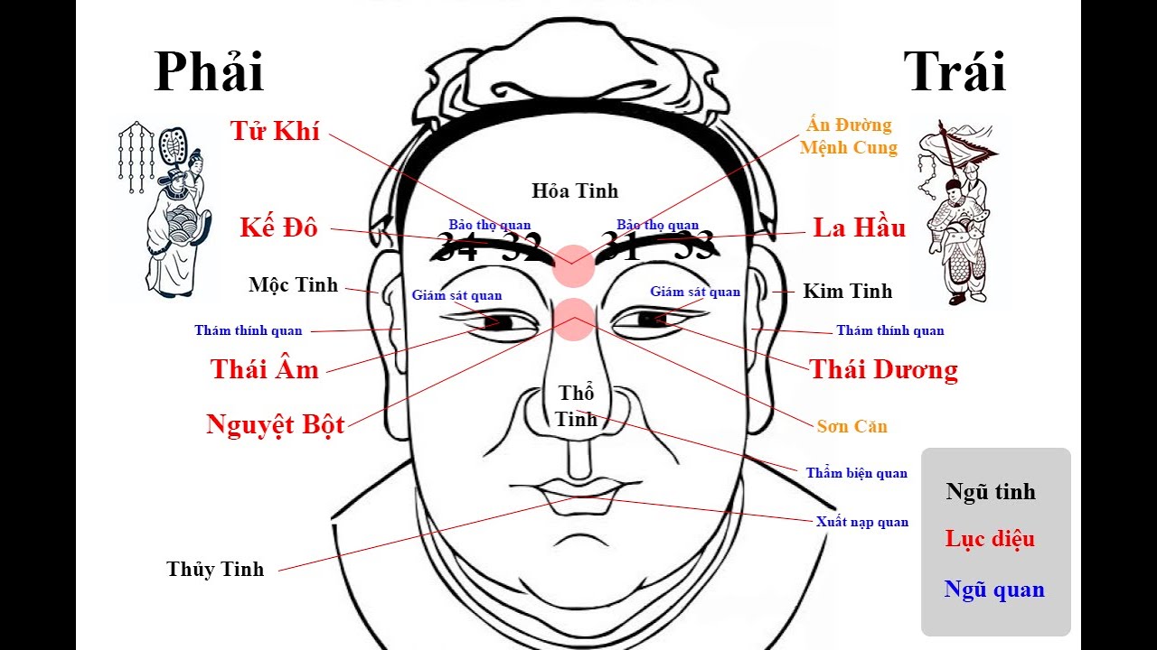 MI TƯỚNG tướng lông mày