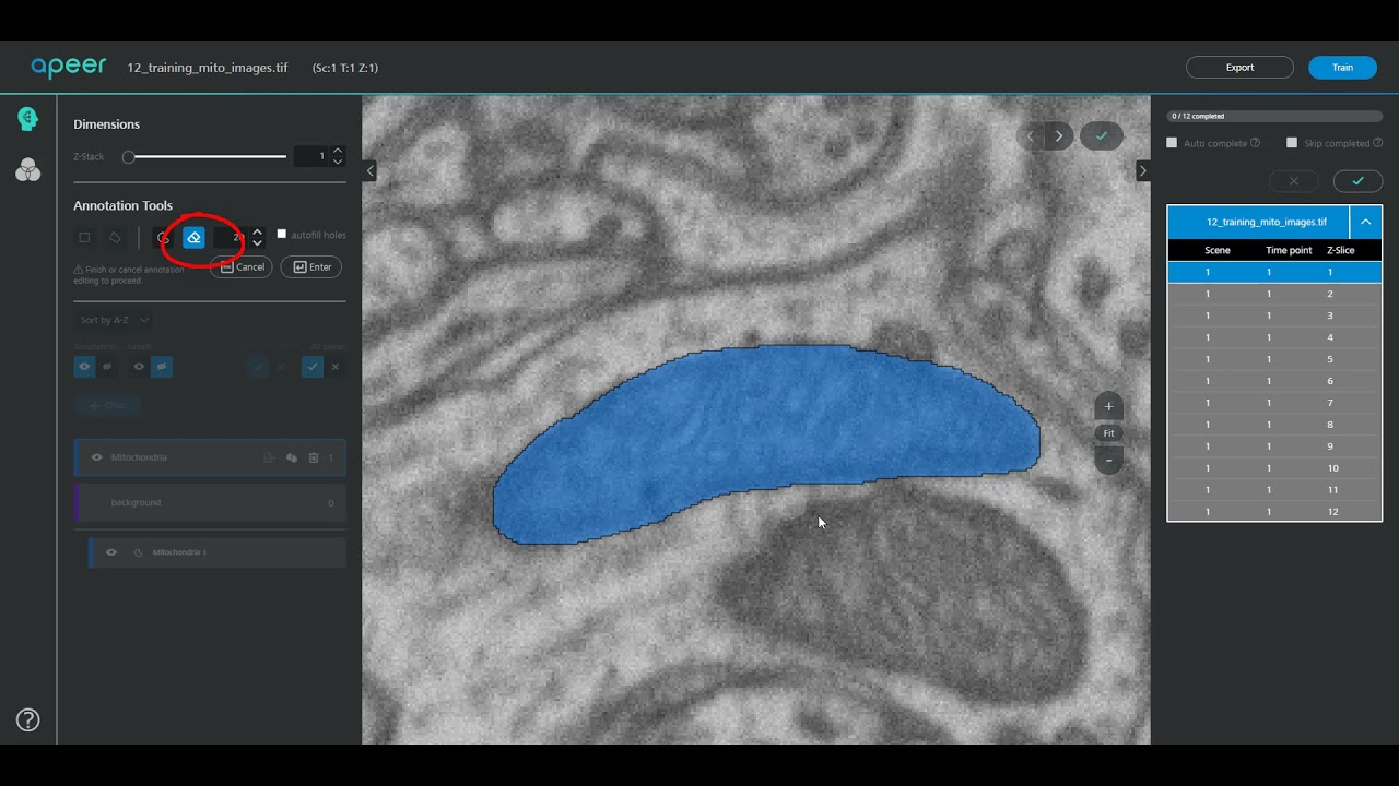 Annotating images to generate labels for arivis AI on the arivis Cloud (formerly APEER)