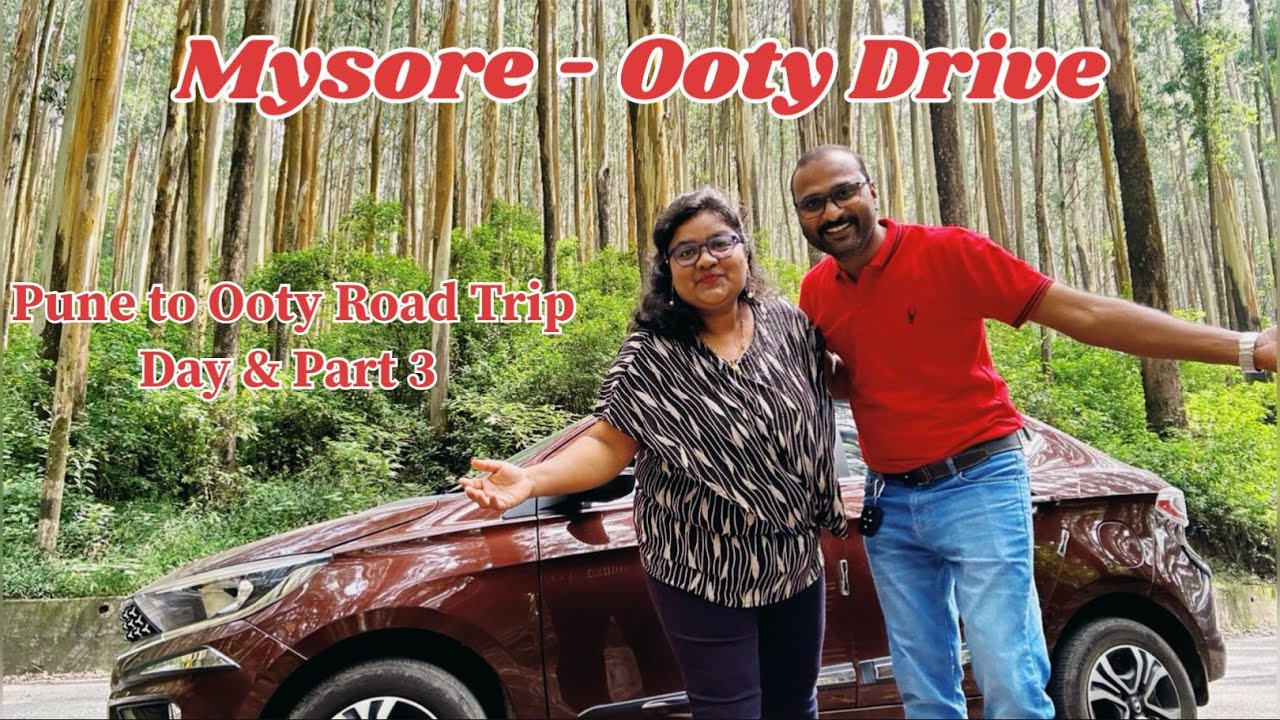 Mysore to Ooty Drive | Bandipur National Park - Mudumali Tiger Territory - Nilgiris | Jungle Safari