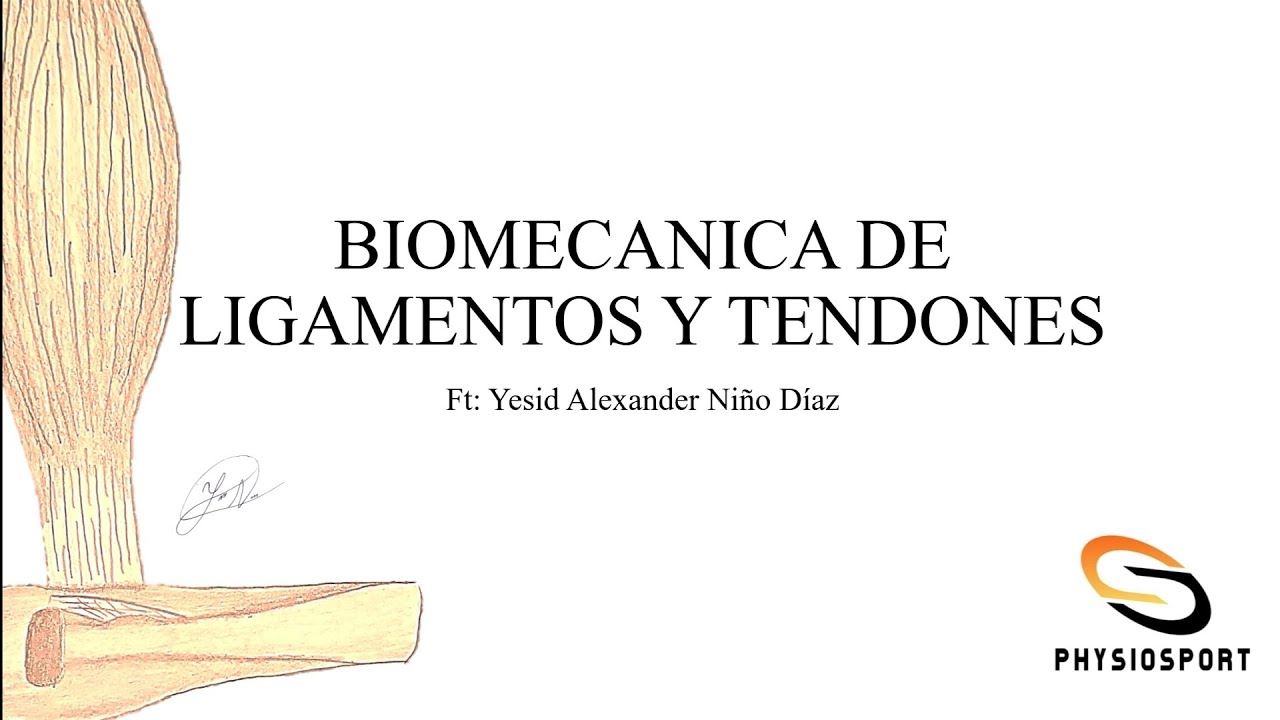 biomecánica de ligamentos y tendones V1