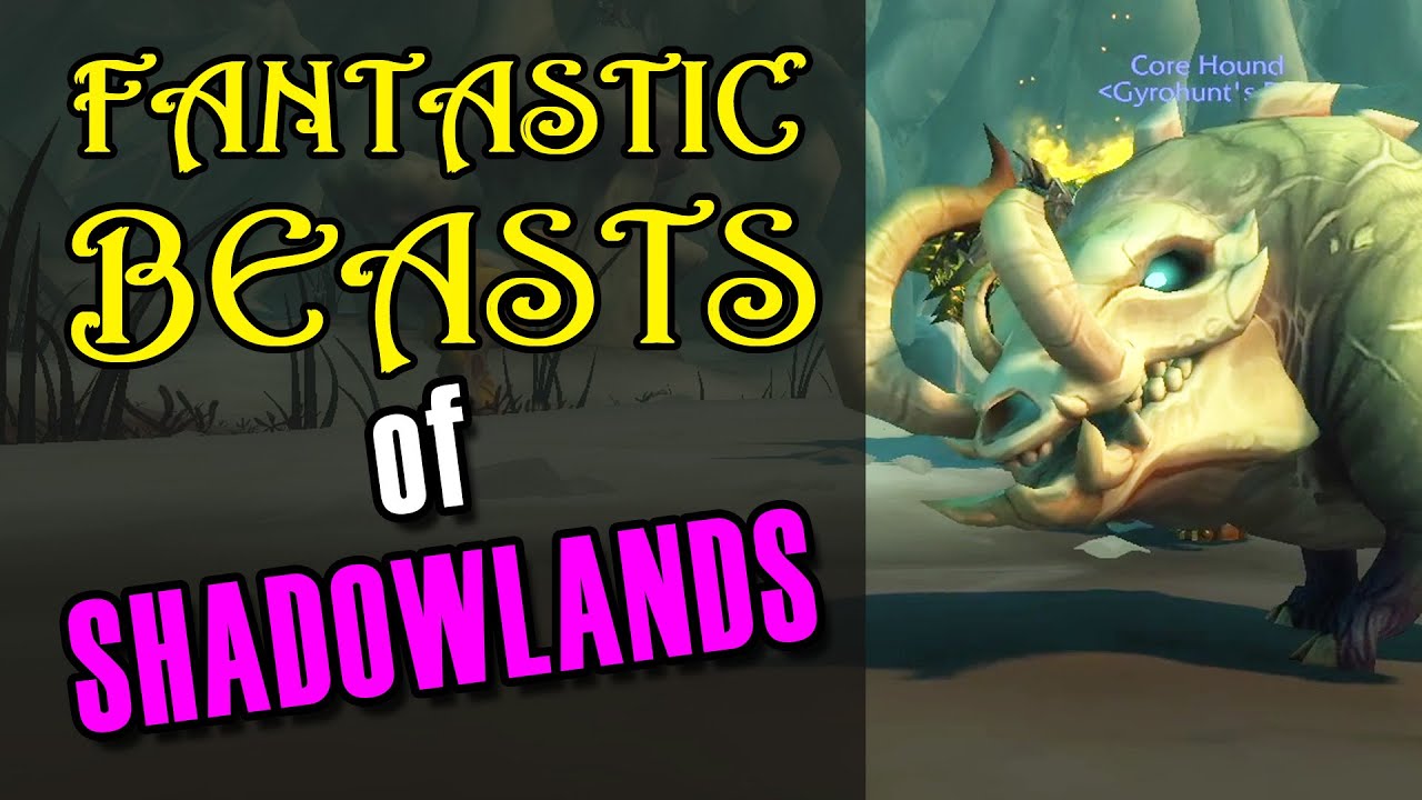 HUNTER PETS GUIDE - Fantastic Beasts of Shadowlands!