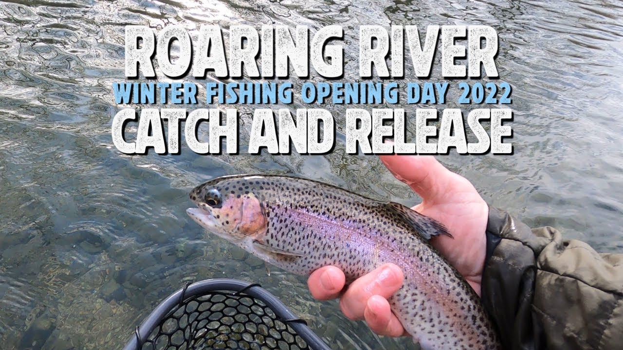 Roaring River Catch & Release Opening Day | Missouri Trout Fishing