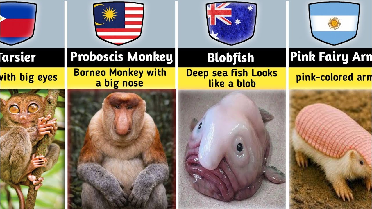 Is This Real? Strangest Creatures Caught on Camera😱 | DataPulse