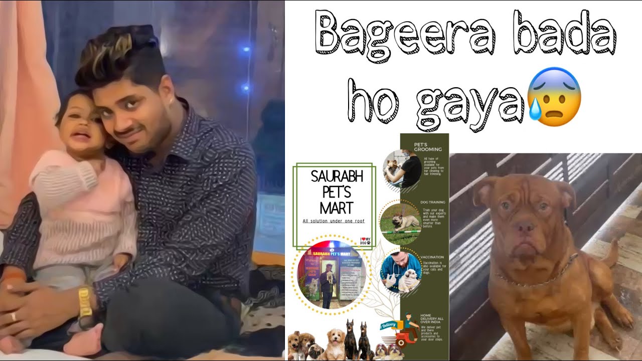 Bageera bada aur shandar ho gaya | Daily Vlog | Saurabh Dog Kennel | Contact - 8808081118