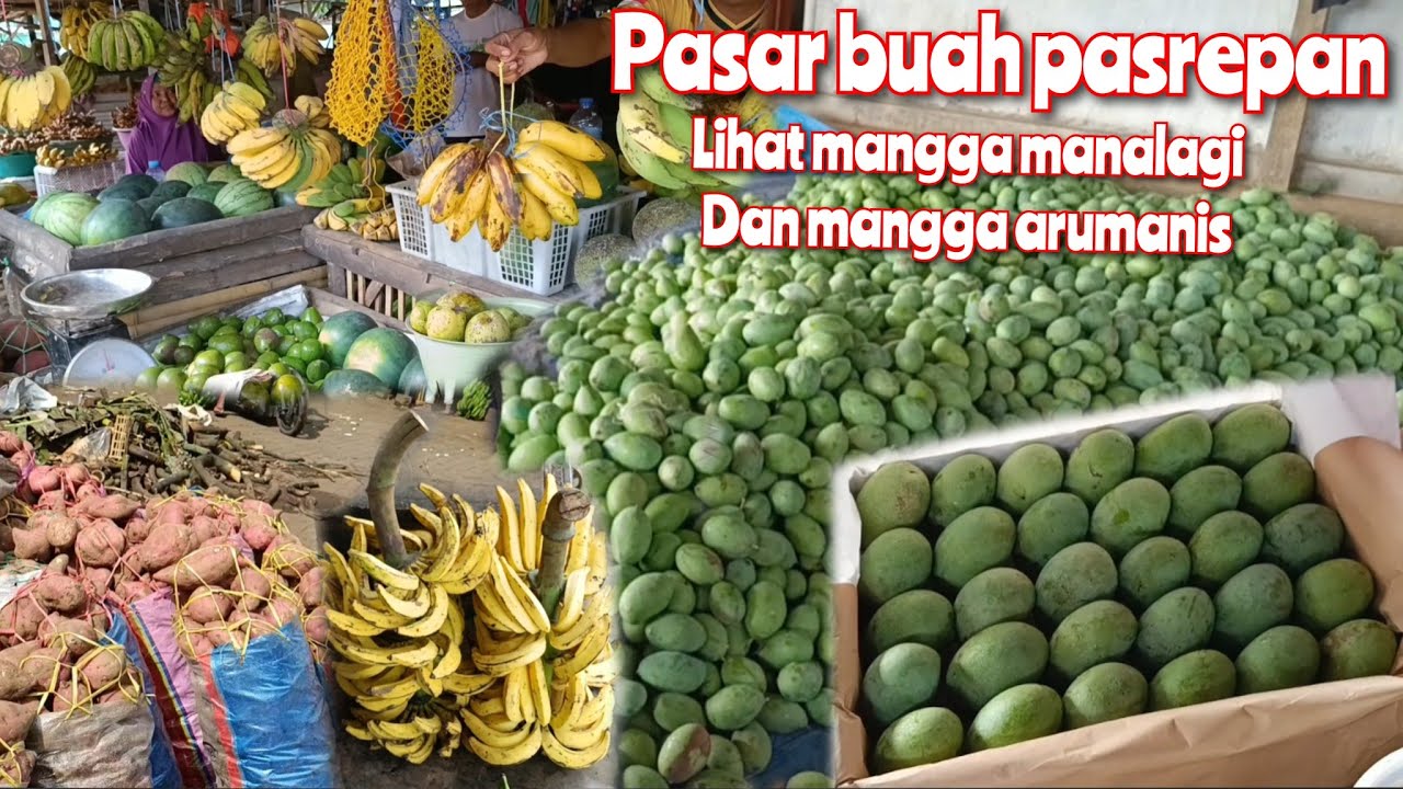 SA'AT INI MULAI BANYAK MANGGA DI PASAR BUAH PASREPAN || cek harga mangga alpukat pisang ketela 