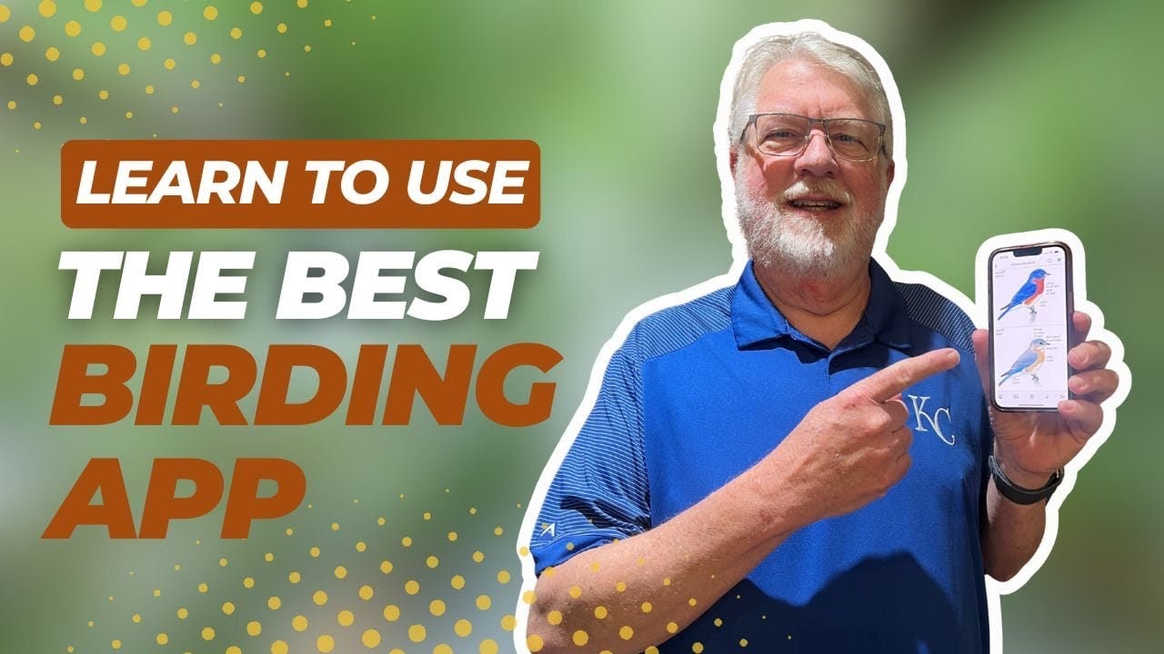How to Use the Sibley Bird App V2 | Complete Guide for Birders